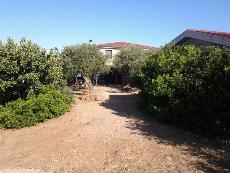 Agriturismo Sa Murta In Sennariolo-Oristano Eksteriør bilde