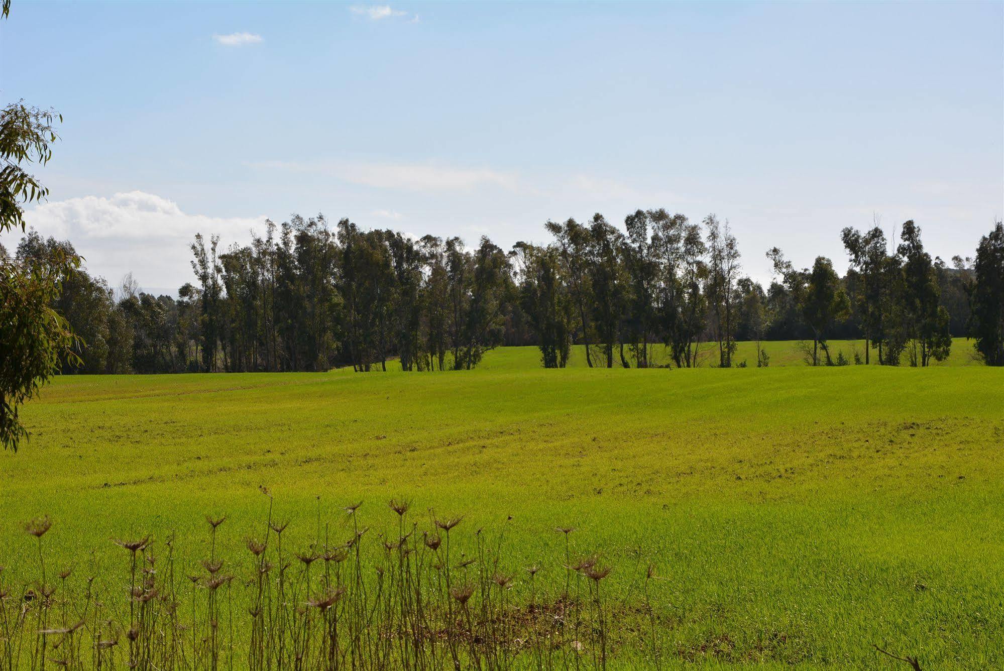 Agriturismo Sa Murta In Sennariolo-Oristano Eksteriør bilde
