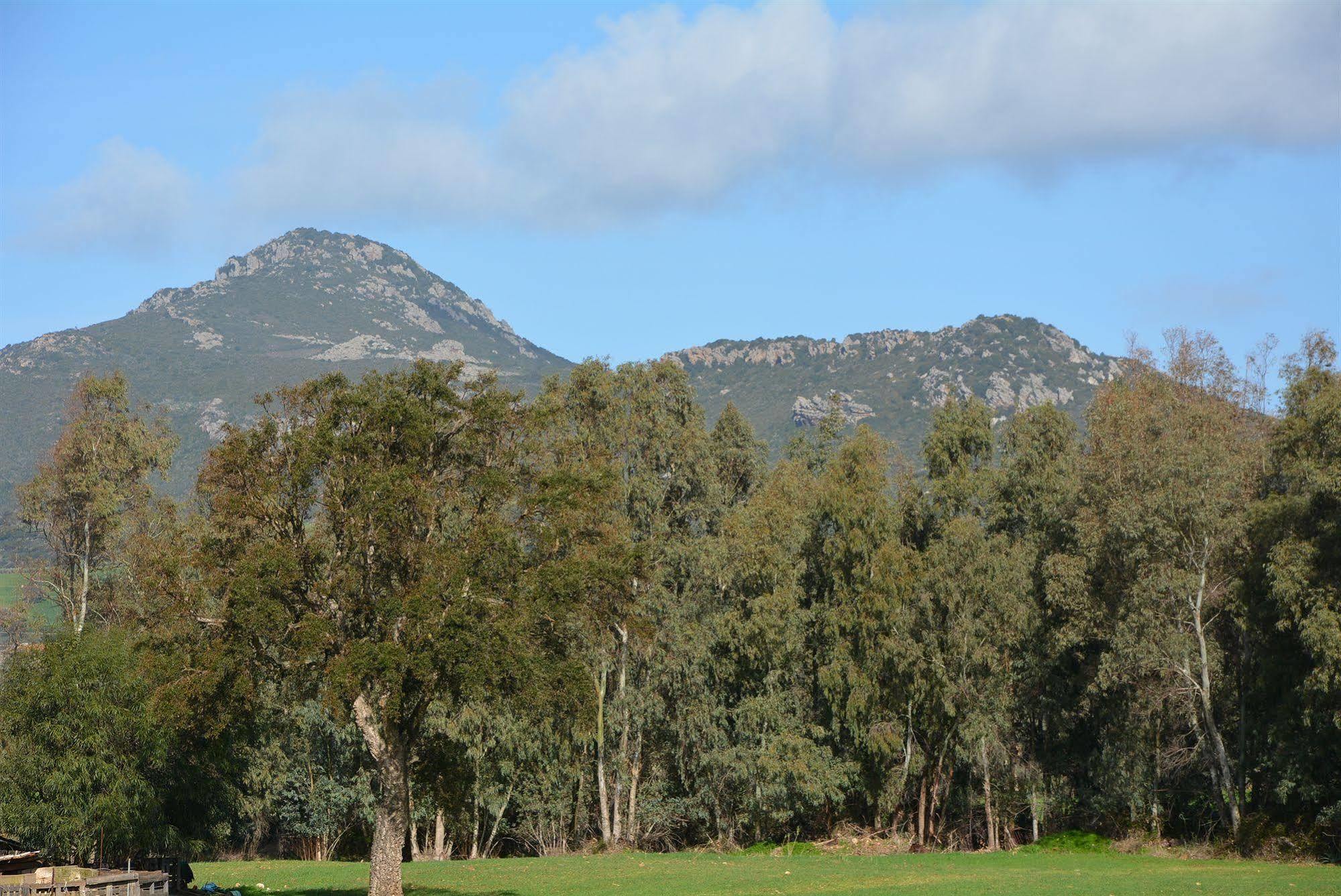 Agriturismo Sa Murta In Sennariolo-Oristano Eksteriør bilde