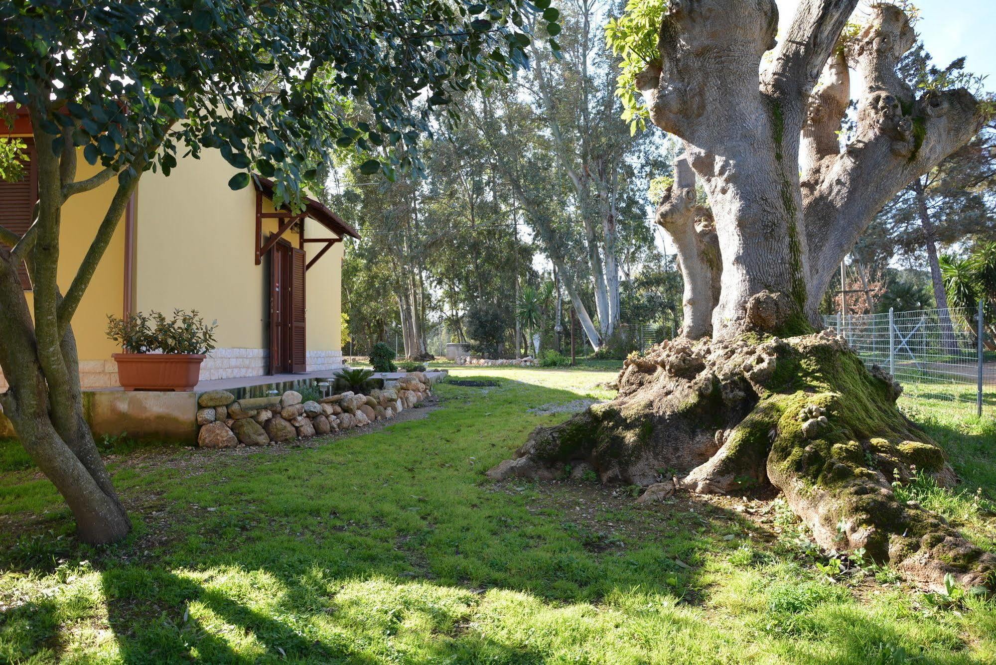 Agriturismo Sa Murta In Sennariolo-Oristano Eksteriør bilde