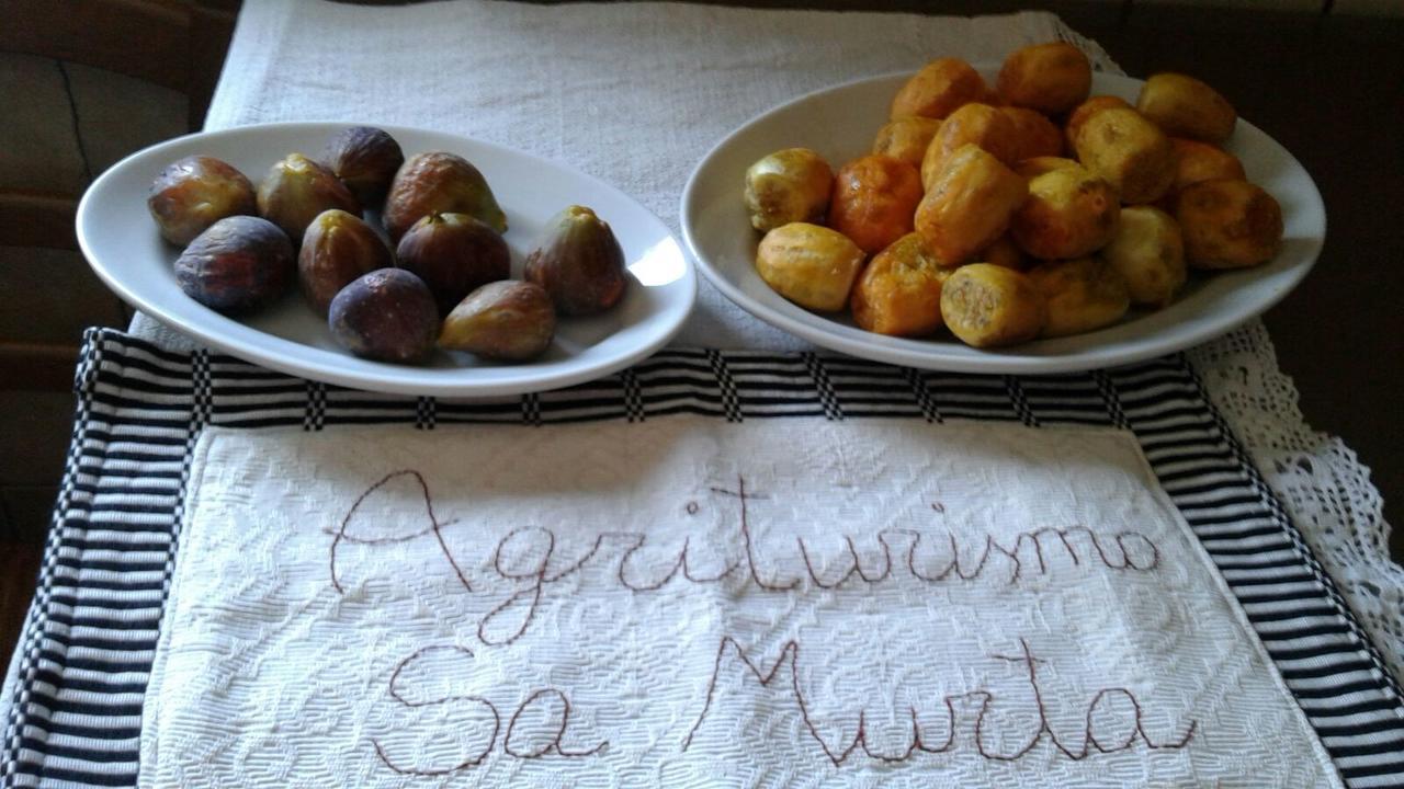 Agriturismo Sa Murta In Sennariolo-Oristano Eksteriør bilde