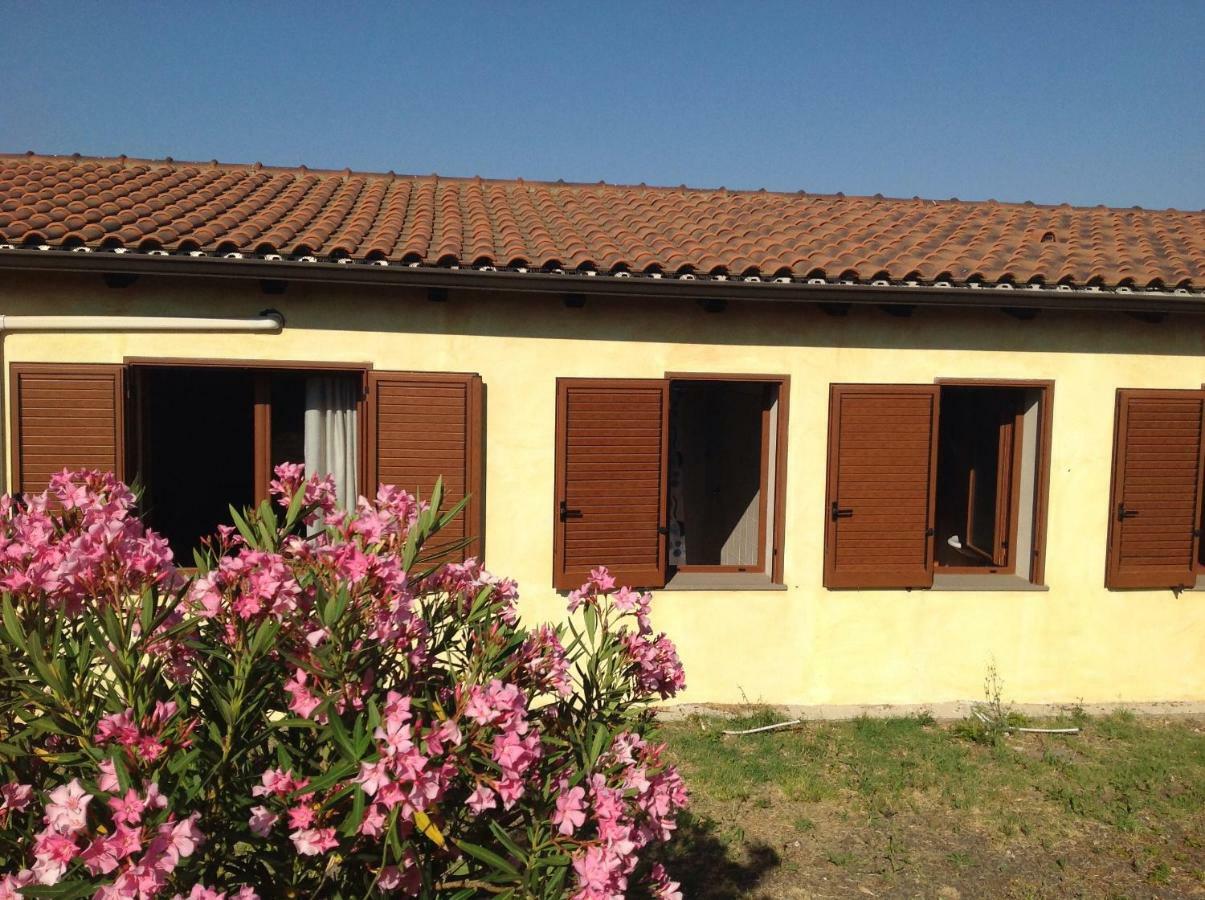 Agriturismo Sa Murta In Sennariolo-Oristano Eksteriør bilde
